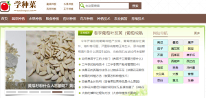 学种菜：一个专门教你种菜的网站-浩瀚博客