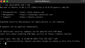 一个Linux命令行工具，允许用户在终端中运行任何图形用户界面应用程序-浩瀚博客