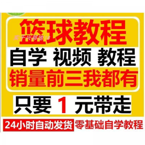 篮球视频教程大全教学训练教学课程基础打篮球技巧街球零基础入门-淘宝虚拟仓