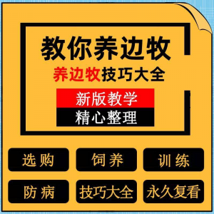 边牧训练方法教程边境牧羊犬驯养技术饲养喂养选购训犬技巧大全套-淘宝虚拟仓