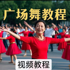 中老年广场舞视频下载高清视频教学打包MP4 MP3背面动作分解教程-淘宝虚拟仓