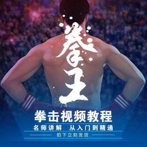 拳击教学视频 自学教程 训练零基础运动入门健身搏击格斗武术课程-淘宝虚拟仓
