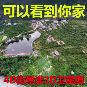3D高清卫星地图影像2024图源导航定位3d立体地图手机永久免费-淘宝虚拟仓